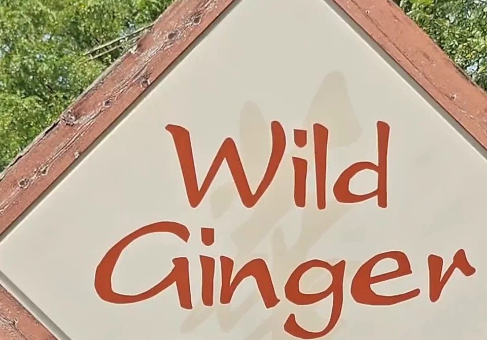 The Wild Ginger Bistro sign in Wooster, Ohio